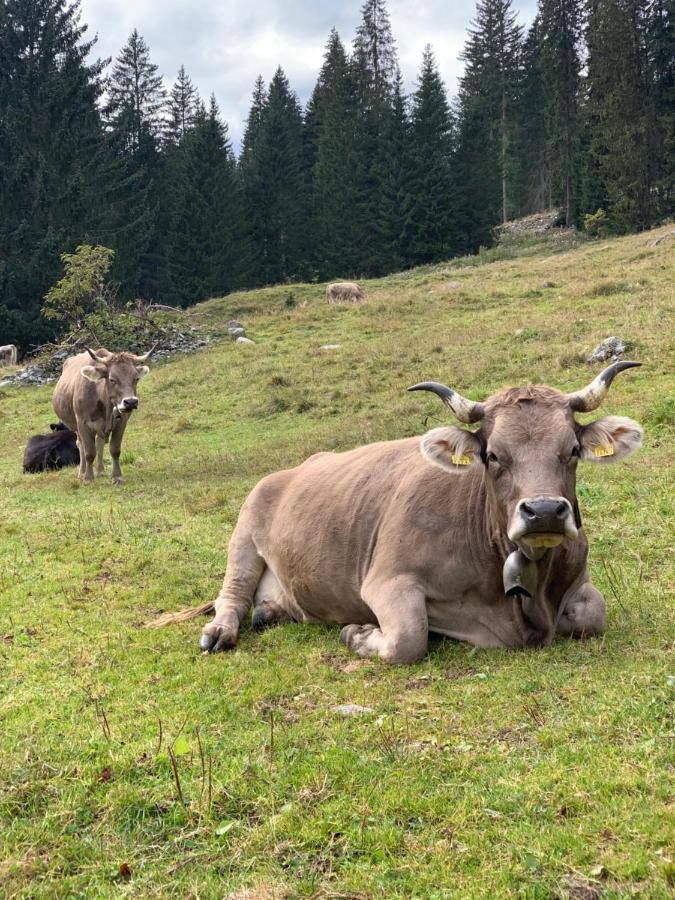 Fewo Gotschna Haus Bargis Klosters Eksteriør bilde